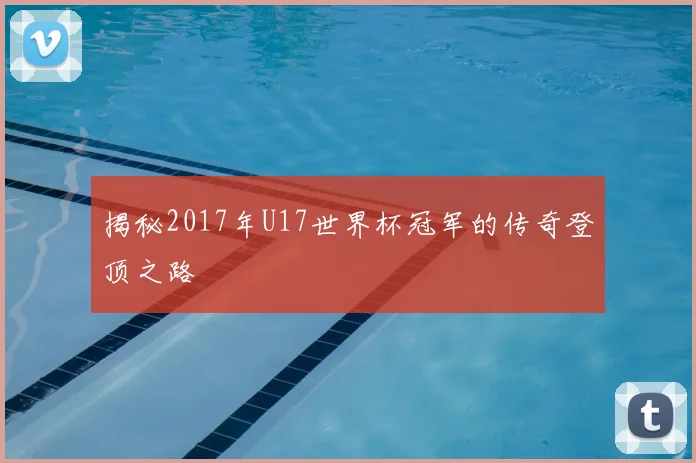 揭秘2017年U17世界杯冠军的传奇登顶之路