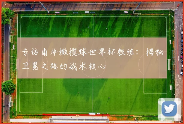 专访南非橄榄球世界杯教练:揭秘卫冕之路的战术核心