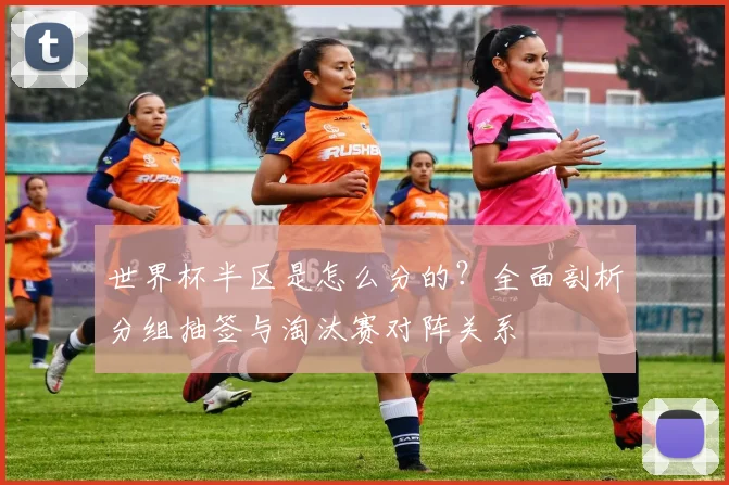 世界杯半区是怎么分的？全面剖析分组抽签与淘汰赛对阵关系