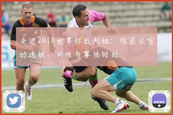 走进2018世界杯裁判组：绿茵法官的选拔、训练与赛场时刻
