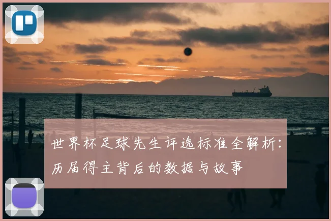 世界杯足球先生评选标准全解析：历届得主背后的数据与故事