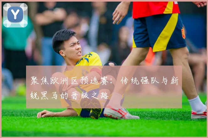 聚焦欧洲区预选赛：传统强队与新锐黑马的晋级之路