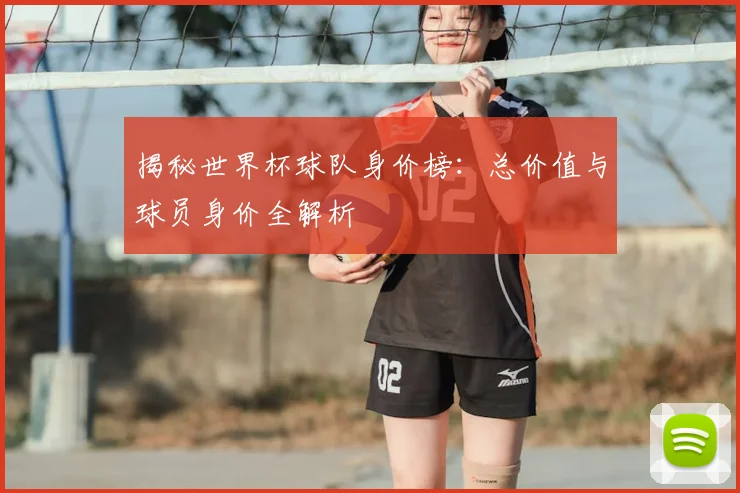 揭秘世界杯球队身价榜：总价值与球员身价全解析