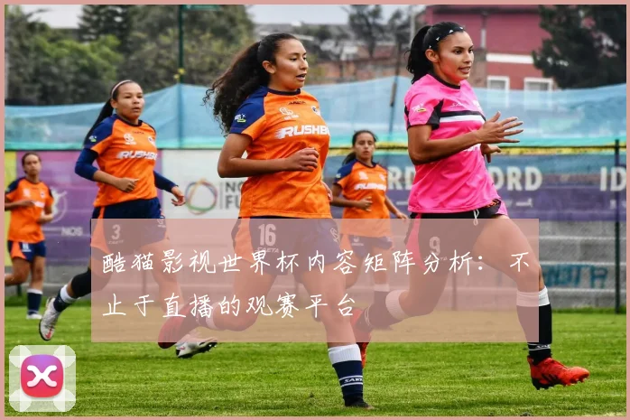 酷猫影视世界杯内容矩阵分析：不止于直播的观赛平台