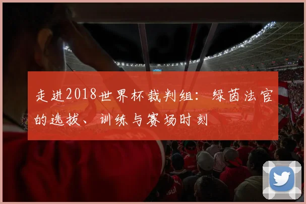 走进2018世界杯裁判组：绿茵法官的选拔、训练与赛场时刻
