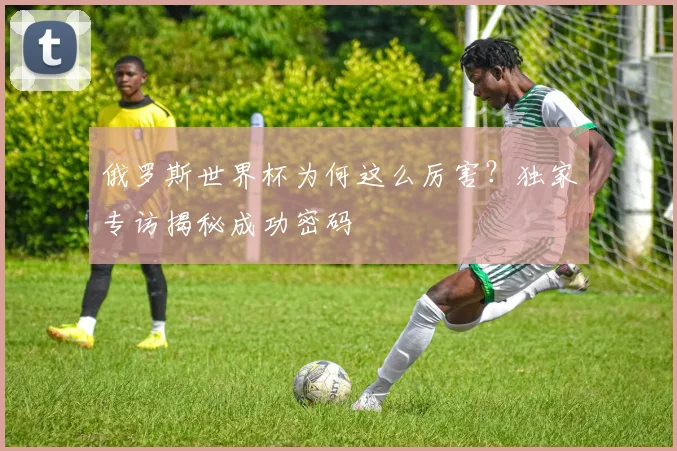 俄罗斯世界杯为何这么厉害？独家专访揭秘成功密码
