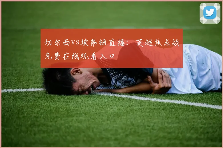 切尔西vs埃弗顿直播：英超焦点战免费在线观看入口